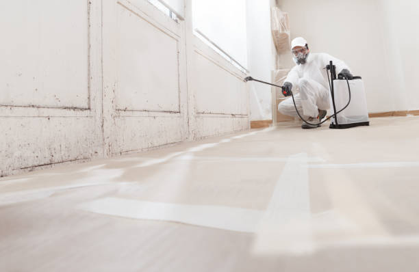 24/7 Emergency Attic Mold Removal experts in Ashburn, VA