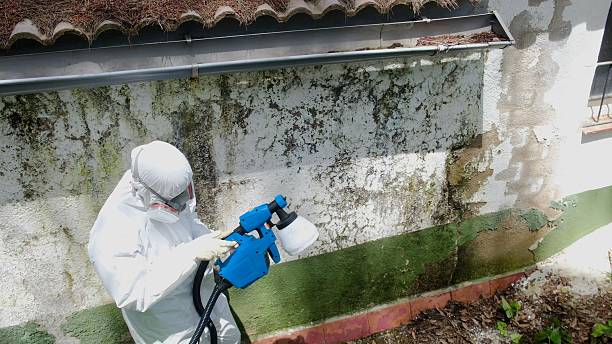 Trusted Commercial Mold Remediation service in Ashburn, VA - Cheap Mold Removal